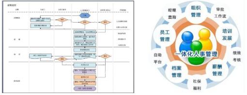 人力资源